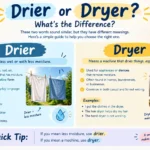 Drier or Dryer